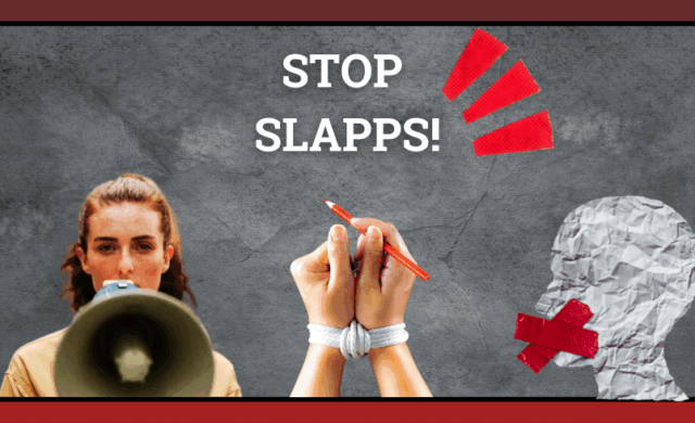 SLAPP Law analysis Poland website